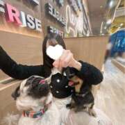 ヒメ日記 2026/03/16 12:31 投稿 まなか 秋葉原コスプレ学園(AKG)