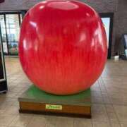 ヒメ日記 2025/08/13 21:49 投稿 いおな 鶯谷スピン