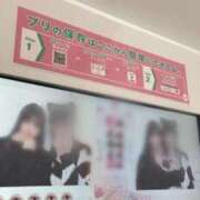 ヒメ日記 2025/10/11 13:02 投稿 りず CECIL