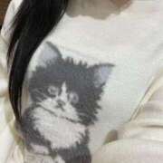 ヒメ日記 2025/10/31 21:30 投稿 りず CECIL