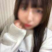 ヒメ日記 2025/11/15 12:31 投稿 りず CECIL