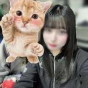 ヒメ日記 2026/02/16 12:05 投稿 りず CECIL