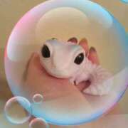 ヒメ日記 2025/11/01 14:20 投稿 ももか ストロベリーハウス