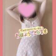 ヒメ日記 2026/03/19 11:00 投稿 あさ 奥鉄オクテツ東京店（デリヘル市場）