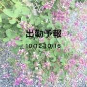 あさ 出勤予報10/12-10/16 奥鉄オクテツ東京店（デリヘル市場）