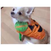 ヒメ日記 2025/11/01 00:02 投稿 はる エンジェルマスカット