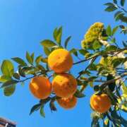 ヒメ日記 2026/02/06 20:04 投稿 みゆか ハピネス水戸