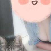 あむ【AF×業界未経験の神髄】 出勤！ どMばすたーず 群馬 高崎店