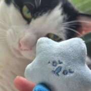 ヒメ日記 2025/07/20 16:56 投稿 シホ リッチドールなんば店