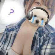 ヒメ日記 2025/08/17 05:26 投稿 シホ リッチドールなんば店