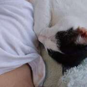 ヒメ日記 2025/08/19 17:08 投稿 シホ リッチドールなんば店