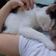 ヒメ日記 2025/08/21 05:56 投稿 シホ リッチドールなんば店