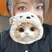 ヒメ日記 2025/08/26 17:46 投稿 シホ リッチドールなんば店