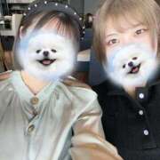 ヒメ日記 2025/08/31 17:56 投稿 シホ リッチドールなんば店