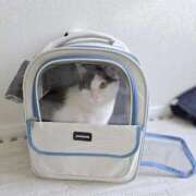 ヒメ日記 2025/09/06 15:26 投稿 シホ リッチドールなんば店