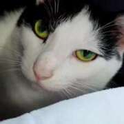 ヒメ日記 2025/09/13 17:46 投稿 シホ リッチドールなんば店