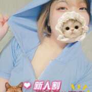 ヒメ日記 2025/09/15 06:36 投稿 シホ リッチドールなんば店