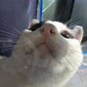 ヒメ日記 2025/09/15 11:06 投稿 シホ リッチドールなんば店