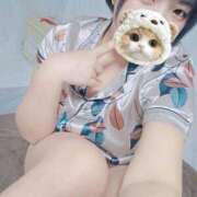 ヒメ日記 2025/10/03 06:36 投稿 シホ リッチドールなんば店