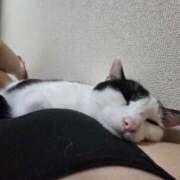 ヒメ日記 2025/10/14 06:26 投稿 シホ リッチドールなんば店