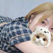 ヒメ日記 2025/10/20 06:36 投稿 シホ リッチドールなんば店