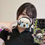 ヒメ日記 2025/11/15 12:21 投稿 シホ リッチドールなんば店