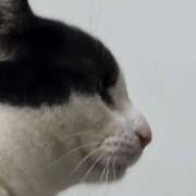 ヒメ日記 2025/12/14 05:16 投稿 シホ リッチドールなんば店