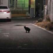 シホ 事前予約感謝🙏 リッチドールなんば店