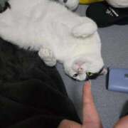 ヒメ日記 2026/01/22 18:26 投稿 シホ リッチドールなんば店