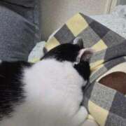 ヒメ日記 2026/01/27 19:56 投稿 シホ リッチドールなんば店