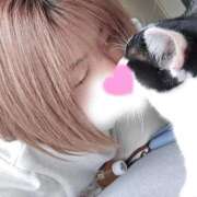 ヒメ日記 2026/01/28 15:46 投稿 シホ リッチドールなんば店