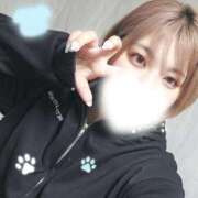 ヒメ日記 2026/03/04 23:16 投稿 シホ リッチドールなんば店