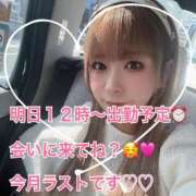 ヒメ日記 2025/07/19 08:57 投稿 【SP】うみ サマンサ(和歌山)