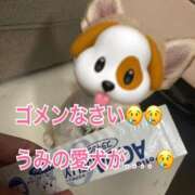 ヒメ日記 2025/08/30 16:37 投稿 【SP】うみ サマンサ(和歌山)