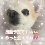 ヒメ日記 2026/02/11 18:49 投稿 【SP】うみ サマンサ(和歌山)