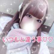 ヒメ日記 2026/02/12 20:27 投稿 【SP】うみ サマンサ(和歌山)