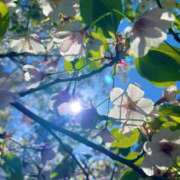 ヒメ日記 2026/03/24 11:02 投稿 えり 千葉ミセスアロマ（ユメオト）