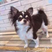 ヒメ日記 2025/08/29 12:18 投稿 みかん 池袋あられ