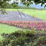 ヒメ日記 2025/09/11 14:00 投稿 りっか 奥鉄オクテツ東京店（デリヘル市場）