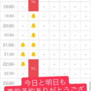 ヒメ日記 2026/06/30 20:00 投稿 りっか 奥鉄オクテツ東京店（デリヘル市場）