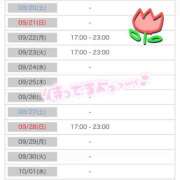 かよ よてい エピセレクション