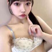 ヒメ日記 2025/12/11 10:14 投稿 ふう 沼津ハンパじゃない東京