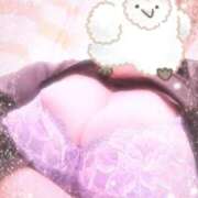 ヒメ日記 2025/09/18 21:09 投稿 ちあき 愛媛松山ちゃんこ