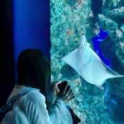 ヒメ日記 2025/09/12 21:51 投稿 あめ 秋葉原コスプレ学園(AKG)