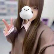 ヒメ日記 2025/10/22 17:51 投稿 あめ 秋葉原コスプレ学園(AKG)