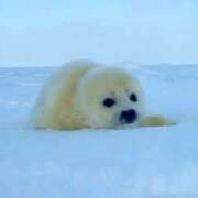 ヒメ日記 2025/11/21 18:52 投稿 あめ 秋葉原コスプレ学園(AKG)