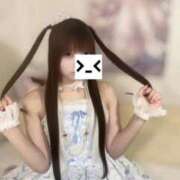 ヒメ日記 2025/12/19 16:02 投稿 あめ 秋葉原コスプレ学園(AKG)