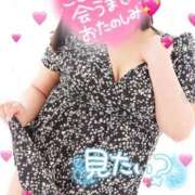 ヒメ日記 2025/07/26 12:24 投稿 せり 沖縄ちゃんこ那覇店