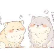 ヒメ日記 2025/08/19 11:46 投稿 りん 人妻の雫 倉敷店