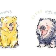 ヒメ日記 2025/08/26 10:52 投稿 りん 人妻の雫 倉敷店